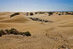 maspalomas110611-24.jpg