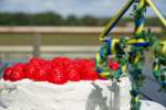 midsommar140626-4.jpg