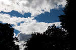 moln110811-5.jpg