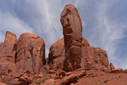 The Thumb