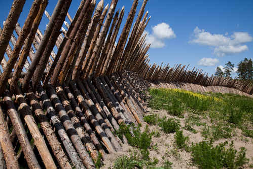 Palissad