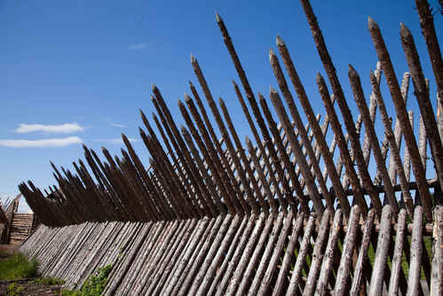 Palissad