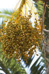 palmer110204-13.jpg