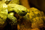 parkenzoo2080719-61.jpg
