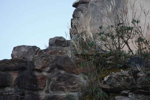Mur