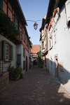 riquewhir091114-02.jpg