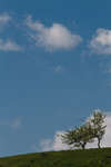 sommar100604-1.jpg