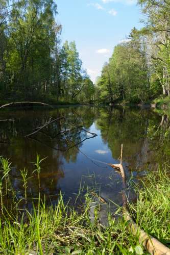 Svartån
