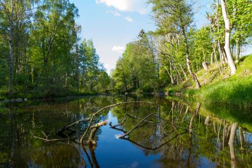 Svartån
