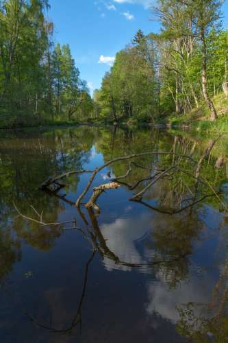 Reflektioner i Svartån