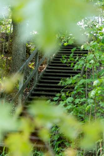 Trappa i skogen