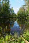 sommar140607-16.jpg