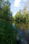 sommar140607-21.jpg