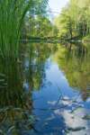 sommar140607-22.jpg