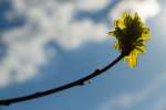 sommar140607-39.jpg