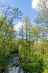 sommar140607-6.jpg
