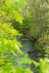 sommar140607-7.jpg