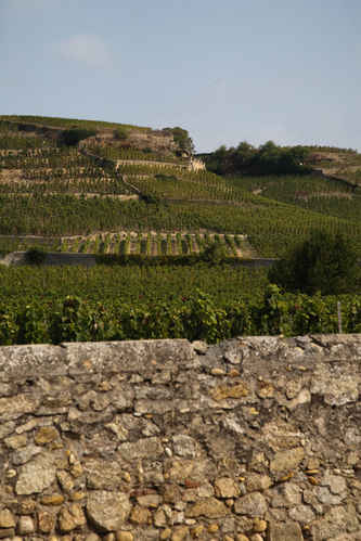 Vinberg i Hermitage