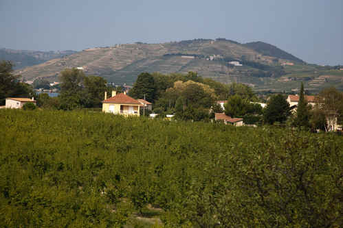 Hermitage