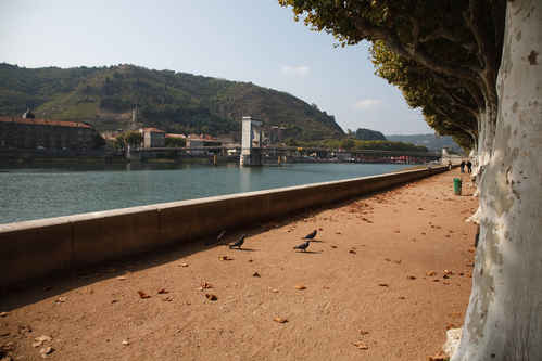 Floden Rhone
