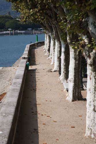 Floden Rhône