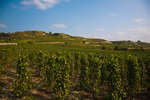 tain-lhermitage091115-05.jpg