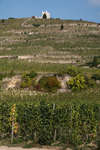 tain-lhermitage091115-10.jpg