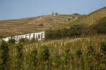 tain-lhermitage091115-13.jpg