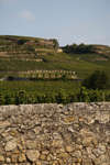 tain-lhermitage091115-15.jpg