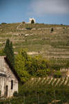 tain-lhermitage091115-16.jpg