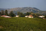 tain-lhermitage091115-17.jpg