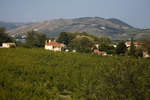 tain-lhermitage091115-18.jpg