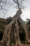 taprohm130330-10.jpg