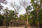 taprohm130330-3.jpg