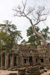 taprohm130330-4.jpg