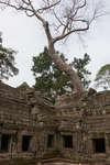 taprohm130330-5.jpg