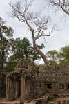 taprohm130330-6.jpg