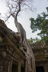 taprohm130330-8.jpg