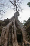 taprohm130330-9.jpg