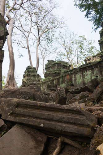 Ta Prohm en tempelruin