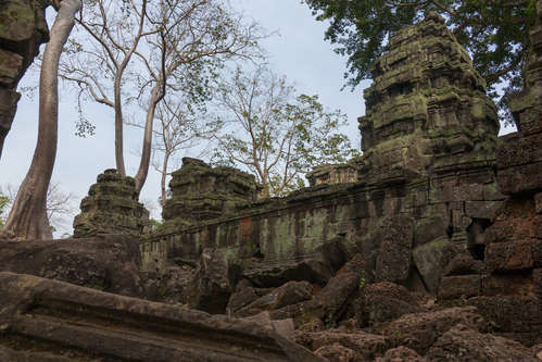 Ta Prohm en tempelruin