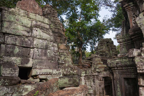 Tempelruiner Ta Prohm