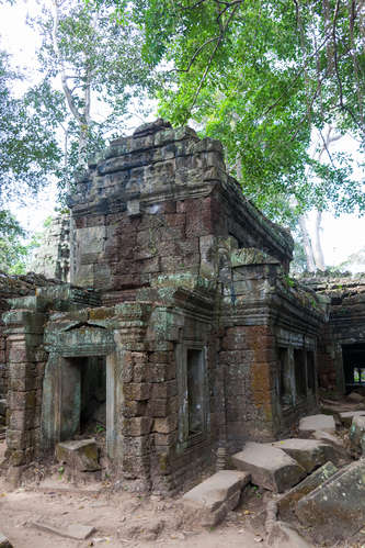 Ta Prohm en tempelruin