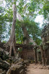 taprohm130331-1.jpg