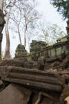 taprohm130331-10.jpg