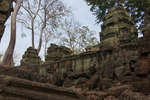 taprohm130331-11.jpg