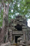 taprohm130331-3.jpg