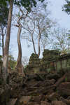 taprohm130331-9.jpg