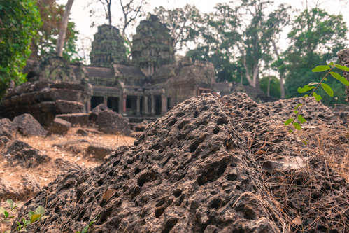 Ta Prohm