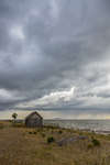 traskjul121011-3.jpg